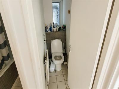 Picture 12